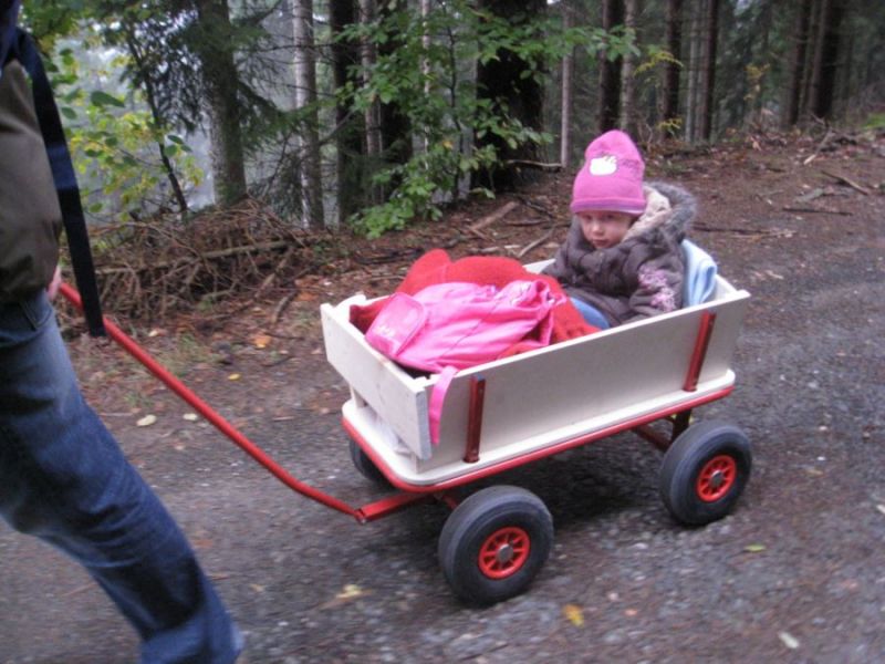 Herbstwanderung 2013_26